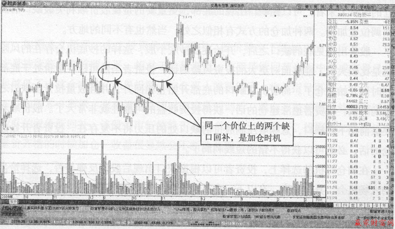 深信泰豐