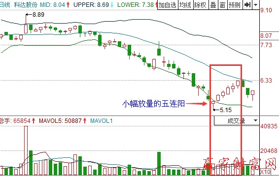 圖2 科達股份布林下軌反彈