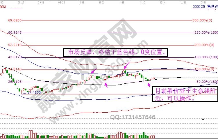 300125價(jià)格走勢分析