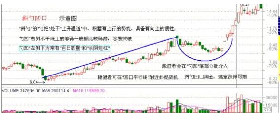 斜勺凹口形態(tài)特征