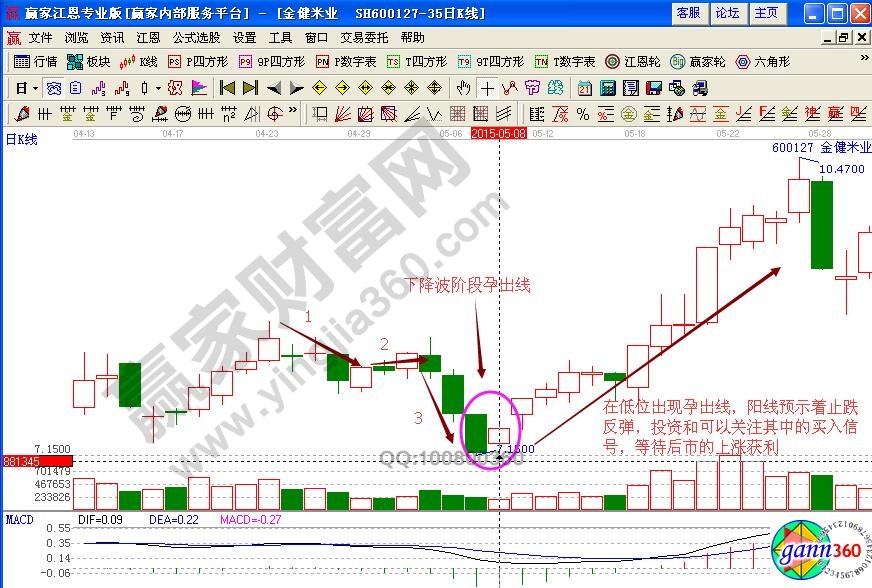 金健米業(yè)下降孕出線