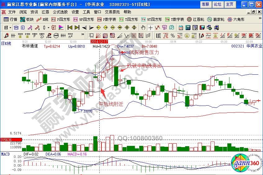 華英農(nóng)業(yè)賣出