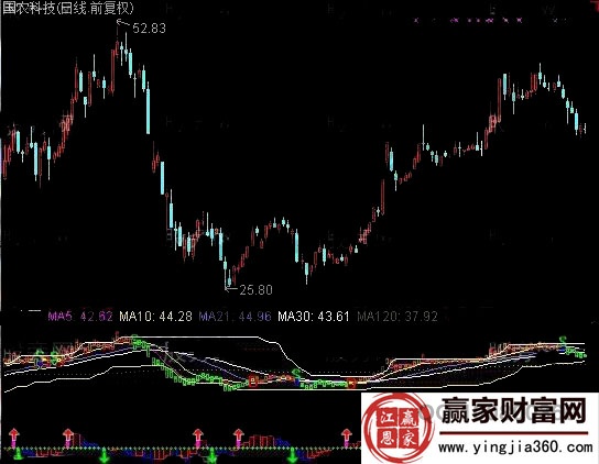 因資而作股票指標公式