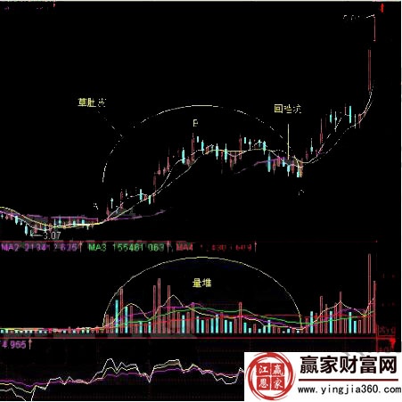 深圳機(jī)場(chǎng)草肚皮