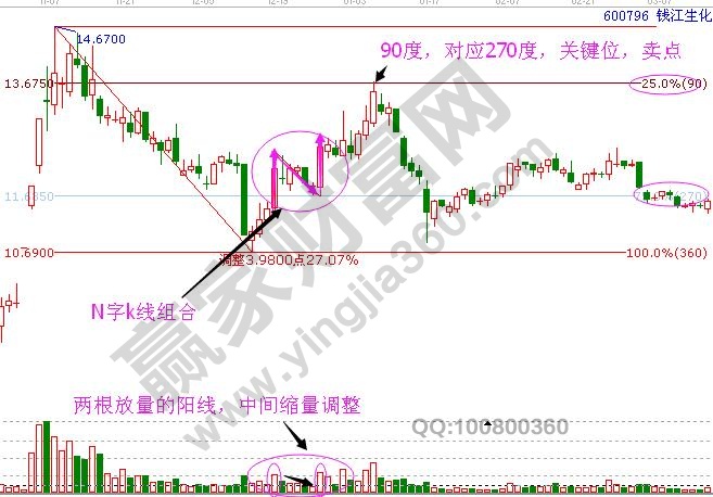 n字k線組合精解