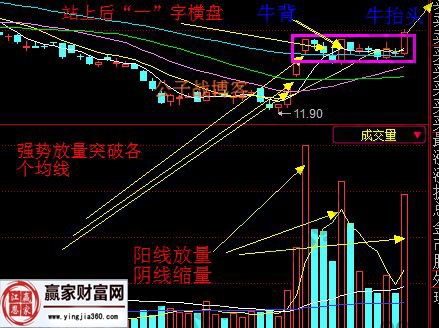 坐背騎牛戰(zhàn)法.jpg